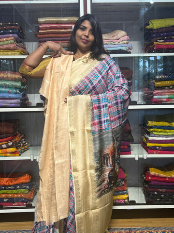 MULTI COLOR MADRAS CHECKS WITH GAP BORDER AND PENKALAMKARI PALLU