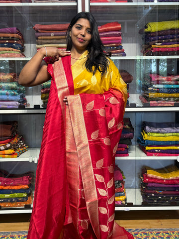 DUAL SHADED MUNGA SILK SAREE WITH CREEPER CONCEPT