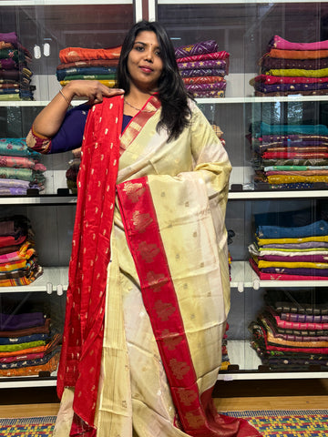 SHADED CONCEPT SAREE WITH CONTRAST BIRDS DESIGN BORDER