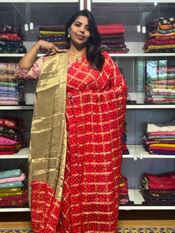 MIRROR WORK SAREE WITH CHECK PATTERN: RED