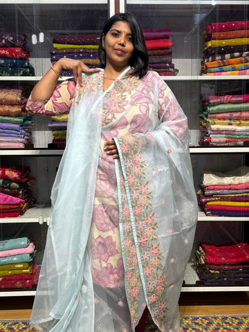 CROSS STITCH EMBROIDERY ON PURE ORGANZA SAREE: ICE BLUE