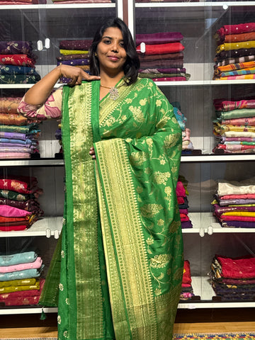 BANARAS MUNGA SILK SAREE: GREEEN